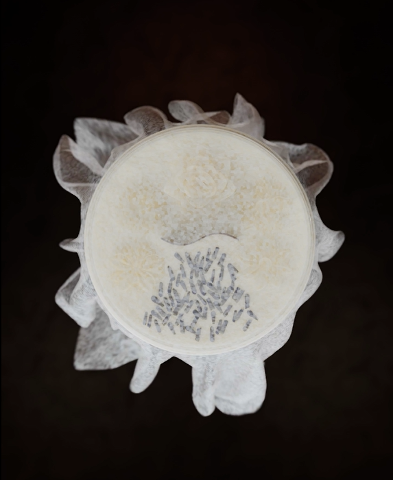 Cargar video: ¿Qué es el lujo consciente? velas sostenibles y éticas